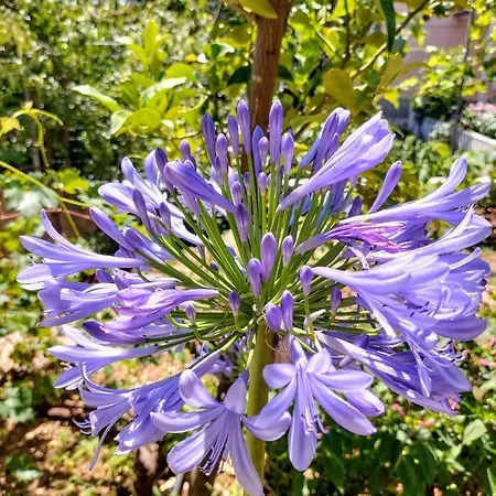 Apartment Boutique *