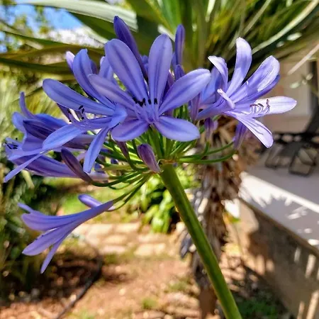 公寓 Boutique 木洛希尼