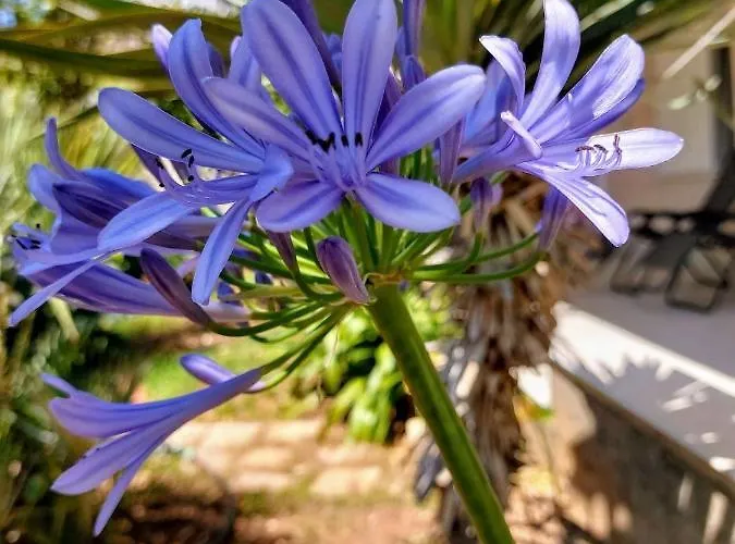 Apartamento Boutique Mali Lošinj